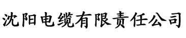 波多野结衣的av视屏电缆厂logo